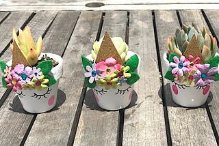 Unicorn Succulent Planter DIY