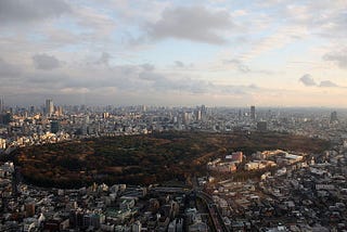 A Tumbleweed in Tokyo