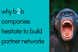Why B2B Companies Hesitate to Build Partner Networks