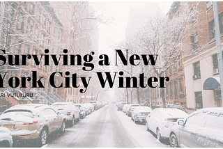 Surviving a New York City Winter