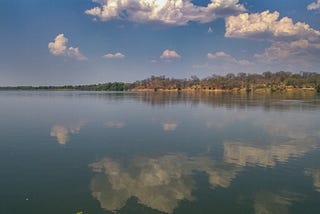 Nella luce di Mana Pools