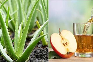 How to Use Aloe Vera For Long And Thick Hair