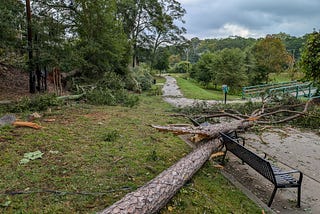Walking path strewn with fallen trees and branches