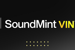 Introducing: SoundMint Vinyls