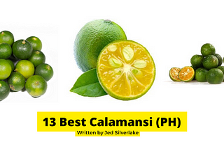 13 Best Fresh Calamansi Fruit Philippines 2022 (w/ Free Discount)