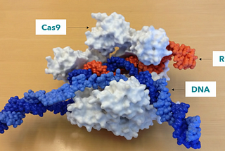 CRISPR’a Giriş