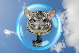 A leaking bubble — tech news for 6th November