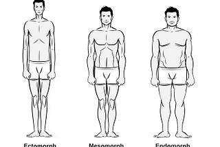 How Often Should You Train A Body Part