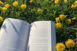 Four Books to add to your Summer TBR