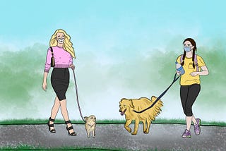 Passive-Aggressive Comments From Other Dog Owners