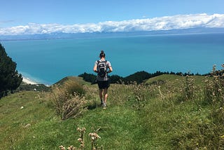 Picture of a man on top of a grassy hill overlooking pristine blue water in New Zealand