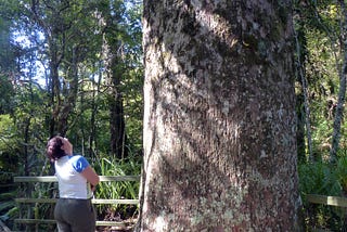 How I became a botanist in a world that had forgotten about plants