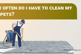 🧼 How Often Should You Clean Your Carpets? 🧽