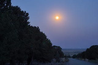 Joy & Sorrow — Our World Needs Both