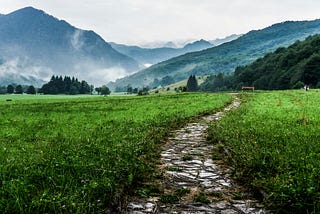 A stone trail, leading through lush grass land with mountains on the horizon.