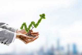 How to Grow a Successful Business