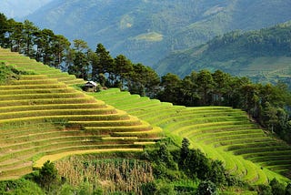 Guide to Apply for E-Visa Vietnam: A Step-by-Step Process