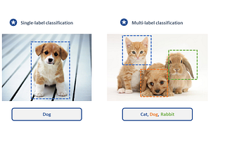 IMAGE CLASSIFICATION VS OBJECT DETECTION AND IMAGE SEGMENTATION