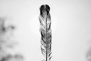 Feather