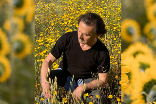 The Man in the Yellow Field