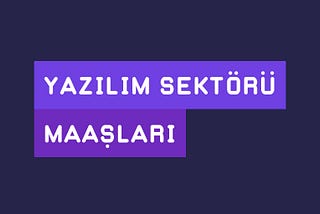 Yazılımcı Maaşları | 2020