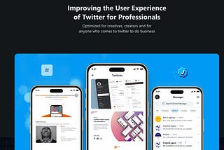 Improving the User Experience of Twitter for Professionals