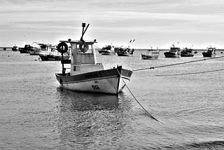 O Velho e o Mar