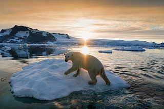 Why Greenland Suddenly Matters:
Climate change, artificial intelligence, and the quiet shift of…