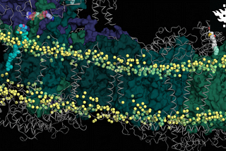 How are Protein Structures Refined?