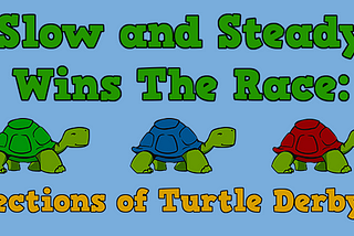 Slow And Steady Wins The Race: Reflections of Turtle Derby VR
