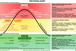 Polyvagal Chart