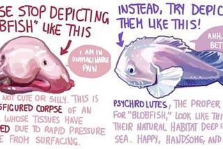 On Ugliness of Blobfish, Culpable Ignorance and God’s Guilt