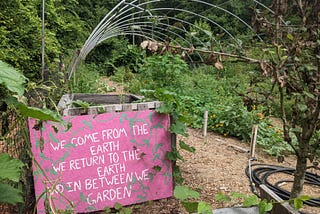 Permaculture: A Back-to-Basics Approach to Food