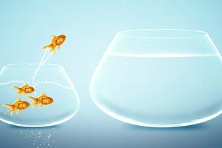 Moving from impact measurement to impact management
