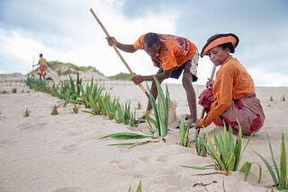 Food Security in Focus