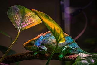 10 Tips to Write Better: Imposter Syndrome Edition