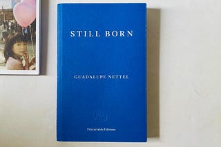 [Book Review] Still Born by Guadalupe Nettle (translated by Rosalind Harvey)