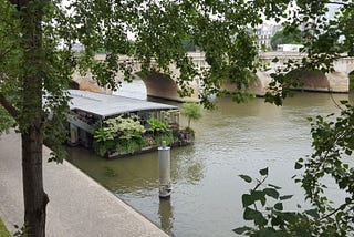 Paris’teki yalnızlık ve İstanbul’daki tek adamlık