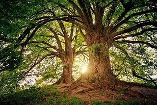 Separating the Trees