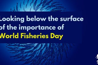 Looking below the surface of the importance of World Fisheries Day