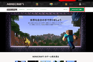 Minecraft JAVA Edition for Linux (especially Mint)