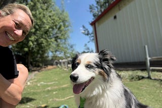 The Handler Matters: What Agility Training Taught Me About Human Communication