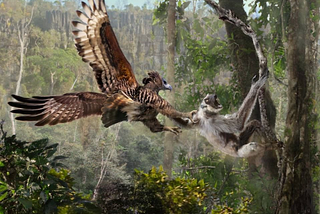 The Ghosts Of Madagascar: The Dead That Make The Lemurs Scream And The Plants grow Spikes