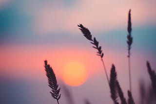 Dusk Dances