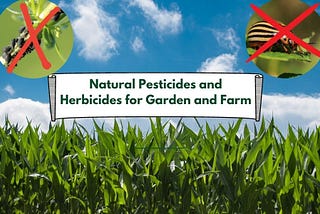Types of Natural Pesticides and Herbicides