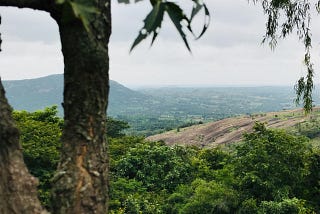 Did you know, Bangalore has a hidden natural treasure!