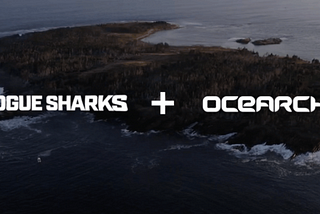 Rogue Sharks + OCEARCH
