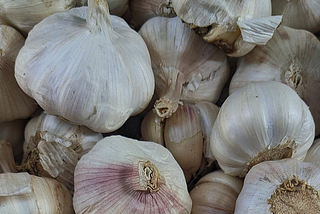 Garlic: A Powerful Ally in Magic and Healing