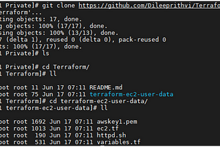 Terraform 1: Launch AWS ec2 instance with User Data