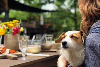 Pondering A Wet Dog, Which Is Better Than Sleeping with One